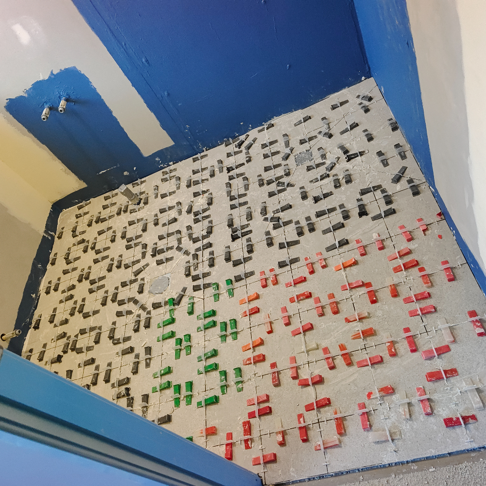 1000047434.jpg